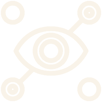 vision